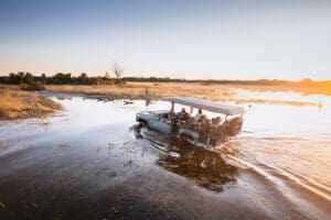 Los safaris le llevarán por los diferentes terrenos del Delta.