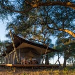 Authentic safari meets luxury stay at Ruckomechi Camp's tented suites.