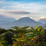 El Parque Nacional de los Volcanes ofrece un espectacular telón de fondo en Wilderness Sabyinyo.