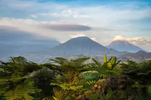 El Parque Nacional de los Volcanes ofrece un espectacular telón de fondo en Wilderness Sabyinyo.
