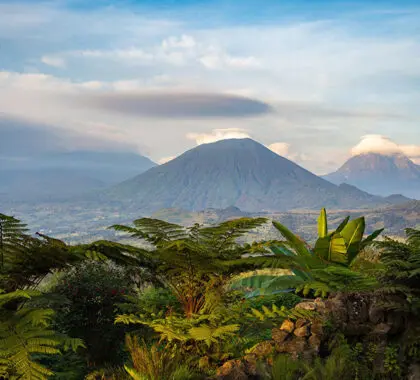 Wilderness-Sabyinyo-Volcanoes-National-Park--provides-a-dramatic-backdrop