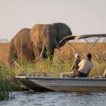 Los safaris en barco le llevan a lugares que los vehículos no pueden.