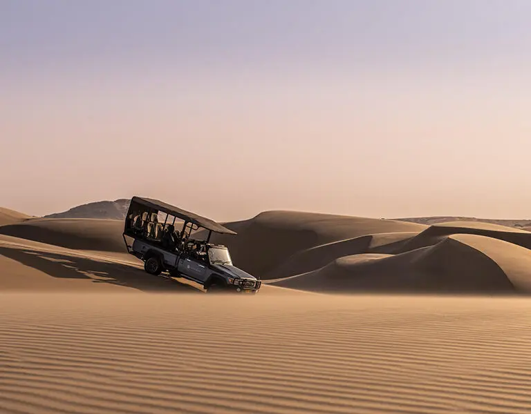 Desert drives.