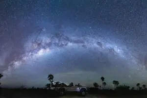 Stargaze on night game drives.