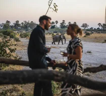 Tubu Tree Camp is a small and intimate tented lodge.