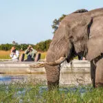 Boating safaris reach areas vehicles can't.