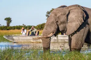 Boating safaris reach areas vehicles can't.