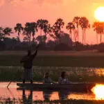 A classic Botswana sunset on a classic Botswana mokoro safari.