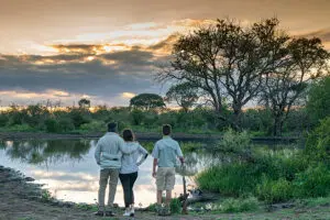 Guided walks on offer.