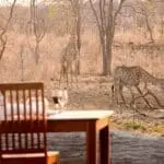 A waterhole is set right in front of the lodge, giving you amazing & exclusive game sightings.
