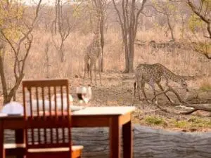 A waterhole is set right in front of the lodge, giving you amazing & exclusive game sightings.
