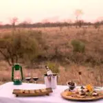 Sundowner drinks at the end of the afternoon game drive, complete with canapes & ice bucket.
