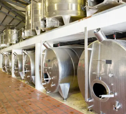 Uma visita guiada e uma prova de degustação gratuitas dão a conhecer os vinhos da família Mullineux & Leeu.