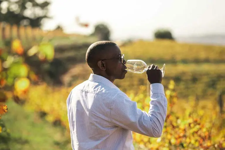 Wine tasting in the Cape.