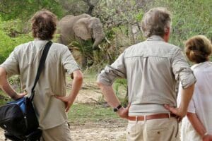 Los animales deambulan ya que no hay vallas en la propiedad.