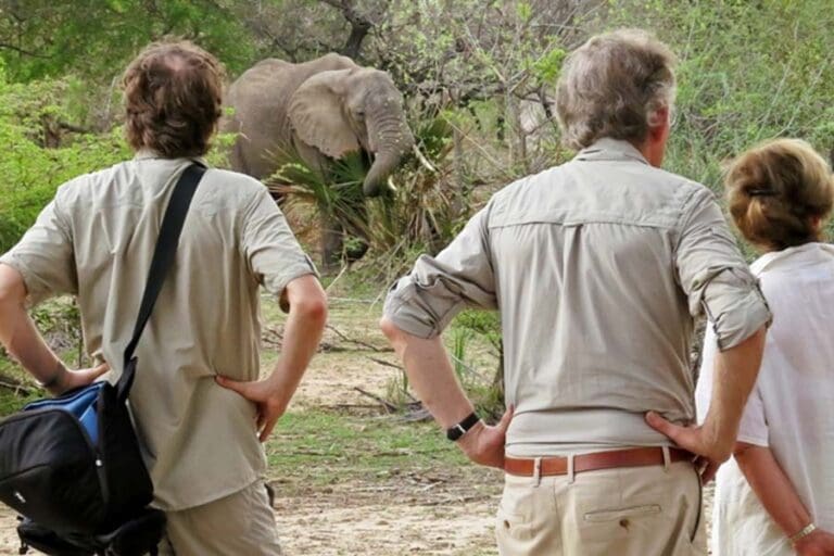 Animals wander through as there are no fences on the property.