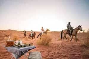 Embark on a horseback desert safari, and enjoy a sundowner stop along the way back to camp.