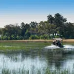 Safaris en barco por el delta.