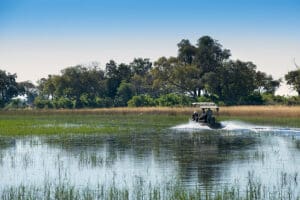 Safaris en barco por el delta.