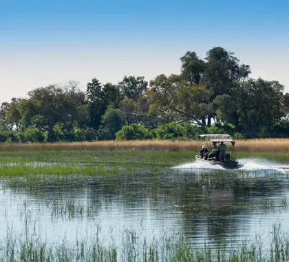 Safaris en barco por el delta.