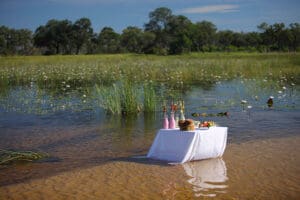 Disfrute de bebidas y aperitivos en el río.