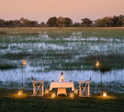 Atardecer con cena en la sabana