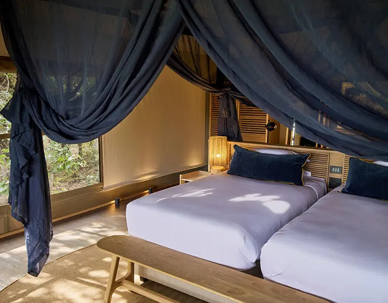 xugana-island-lodge-desert-delta-safaris-botswana-okavango-delta-luxury-tents_2