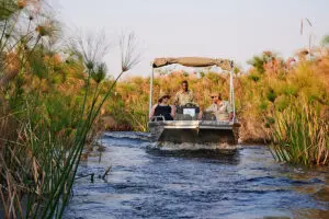 Un safari en barco le llevará por los canales más grandes. 