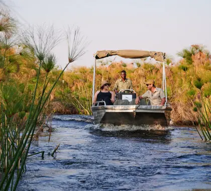 Un safari en barco le llevará por los canales más grandes. 