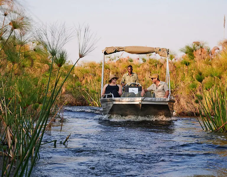 A boat safari takes you through the larger channels. 