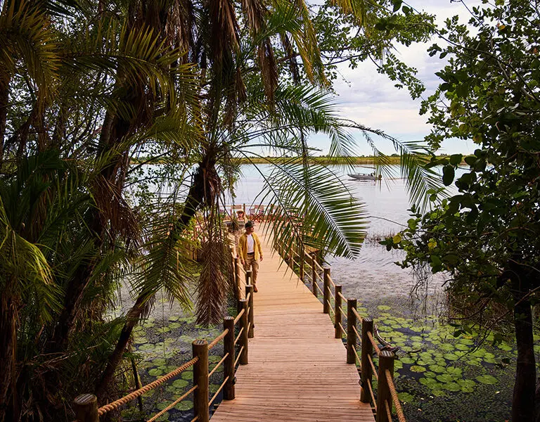 The over-water deck. 