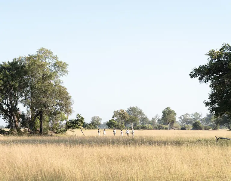 xugana-island-lodge-desert-delta-safaris-botswana-okavango-delta-_okavango_delta_guided_walks_2024-5