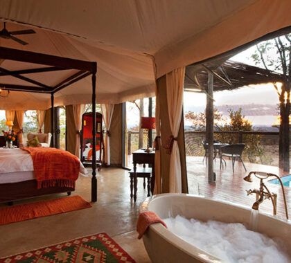 The Elephant Camp's air-conditioned tented suites all have private decks & plunge pools.
