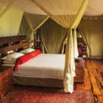 The rooms have real hardwood flooring, and each comfortable bed is fitted with protective mosquito netting.