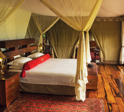 The rooms have real hardwood flooring, and each comfortable bed is fitted with protective mosquito netting.