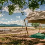 Relájese en la veranda de su tienda y mire hacia el río en busca de animales.