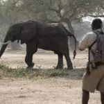 Zambezi Expeditions ofrece safaris a pie con guías expertos.