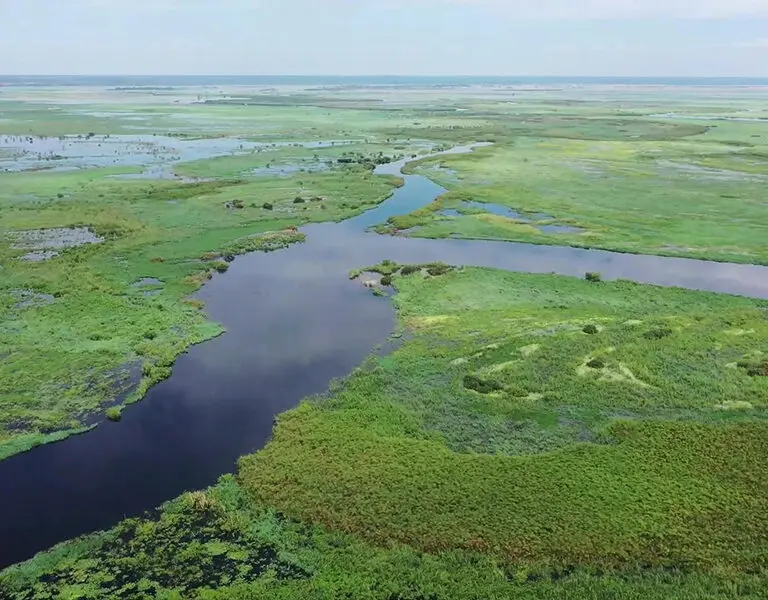 Exploring the Chobe River.
