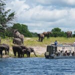 Safaris en barco.