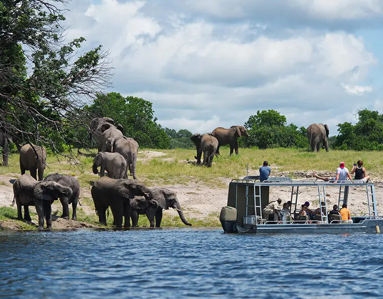 Boat-based safaris.