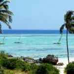 Zanzibar's glorious Matemwe Beach is the setting for Asilia's family villas & barefoot retreats.