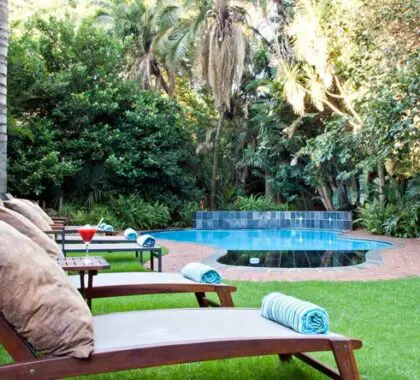 Antes de salir de safari o prepararse para su vuelo internacional de vuelta a casa, pase un rato relajándose en los bonitos jardines.