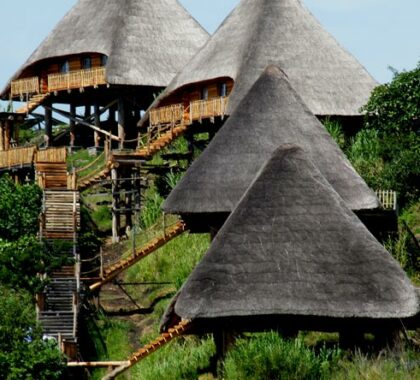 Traditionally thatched suites are connected to the main lodge via wooden walkways.
