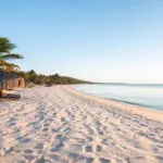 Pristine beaches.