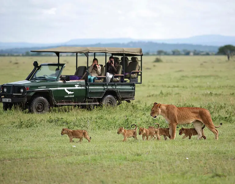 Game Drives in the Serengeti.