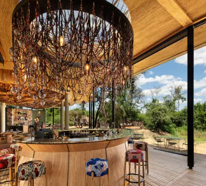 Guest area and bar.