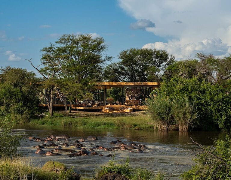 Located on a tributary of the Grumeti River where  a pod of hippos live in harmony.