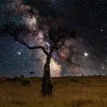Observar las estrellas.
