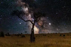 Observar las estrellas.