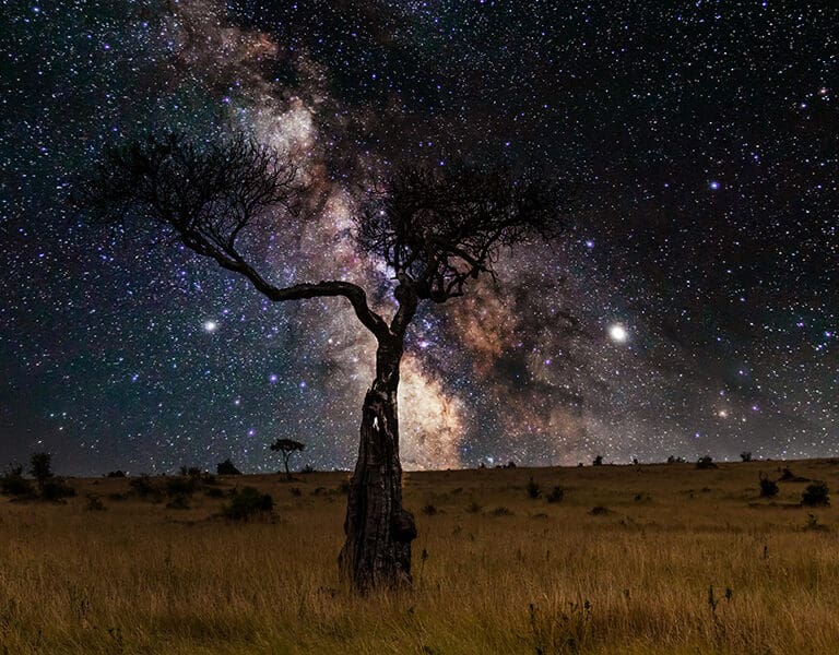 Stargazing.